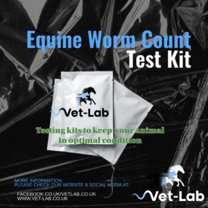 equine worm count