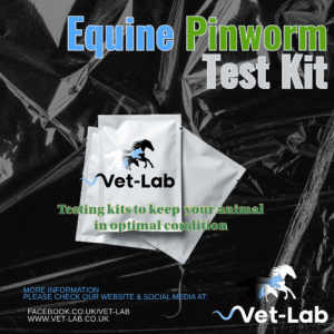 Equine Pinworm Test