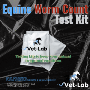 Equine Worm Count Kit
