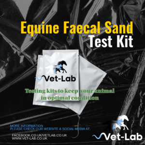 equine sand test