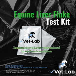 Equine Liver Fluke Test Kit