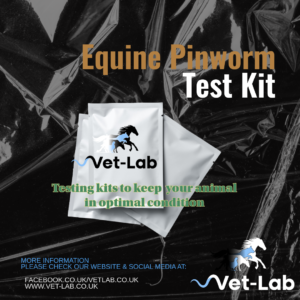 Equine Pinworm Test