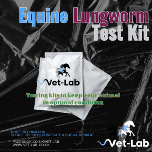 Equine Lungworm Test Kit
