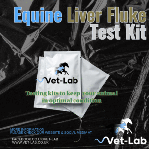 Equine Liver Fluke Test Kit