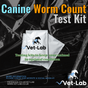Canine Worm Count Test Kit