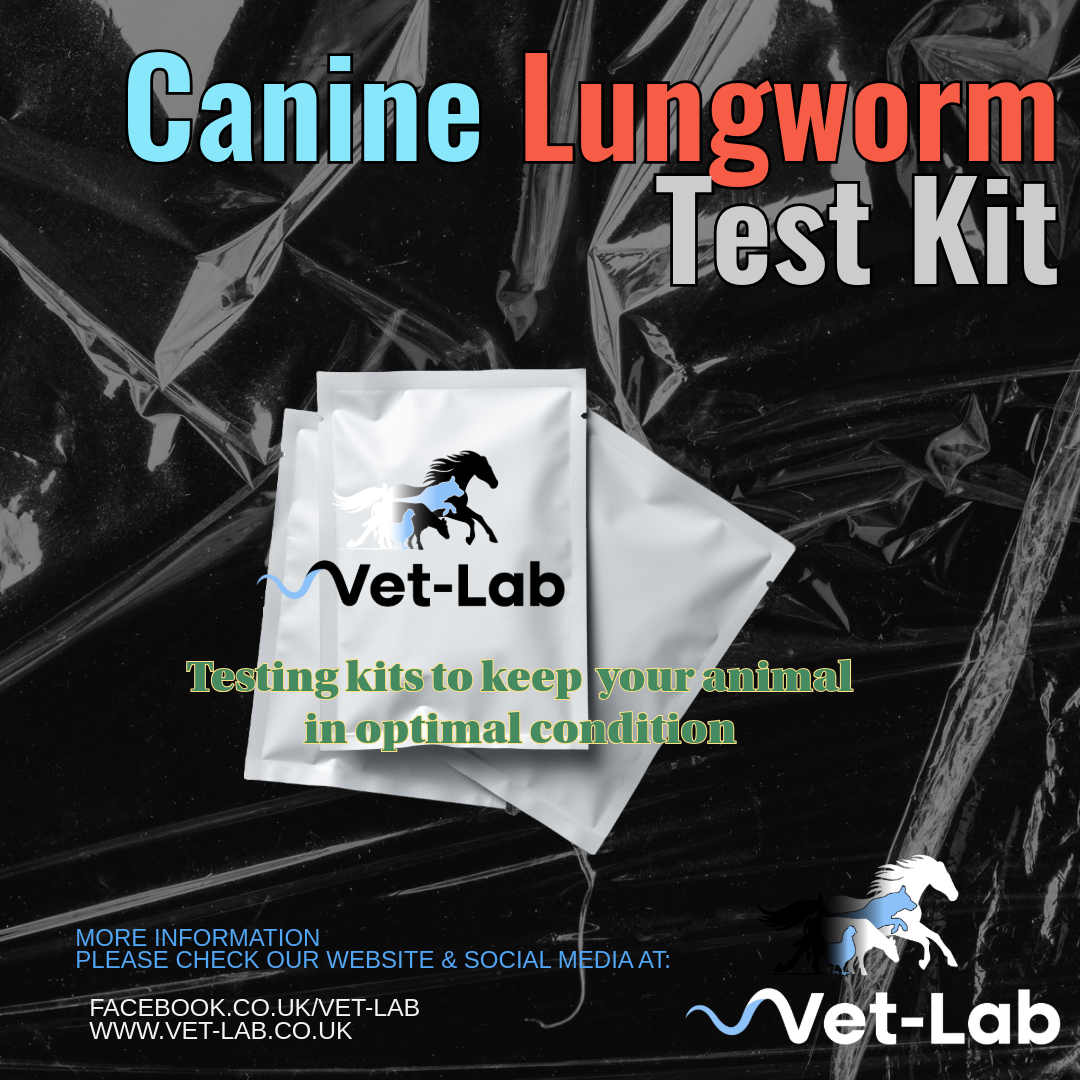 Canine Lungworm Test Kit