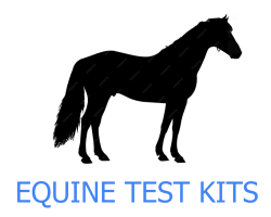 Screenshot 2025-11-03 15.36.34