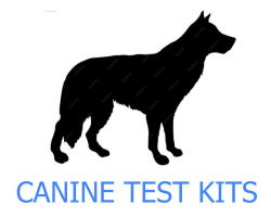 Screenshot 2025-11-03 15.38.36