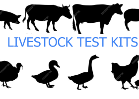 Screenshot 2025-11-03 15.43.22